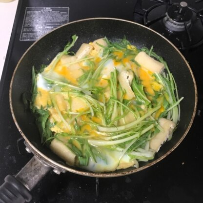 味付けが麺つゆだけで手軽に出来るので
簡単でした。水菜の苦みも麺つゆの優しい味付けで和らぎ、食べやすかったです。
シャキシャキした食感で食べ応えも◎